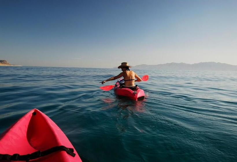 غرفة قياسية مطلّة علي البحر, Ventana Bay Resort
