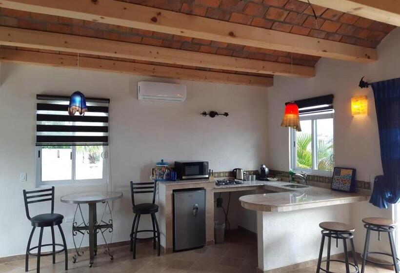 스탠다드 스튜디오 바다 전망, Ventana Bay Resort