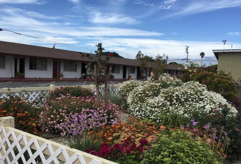 キングサイズベッドのスタンダードルーム, Wagon Wheel Motel