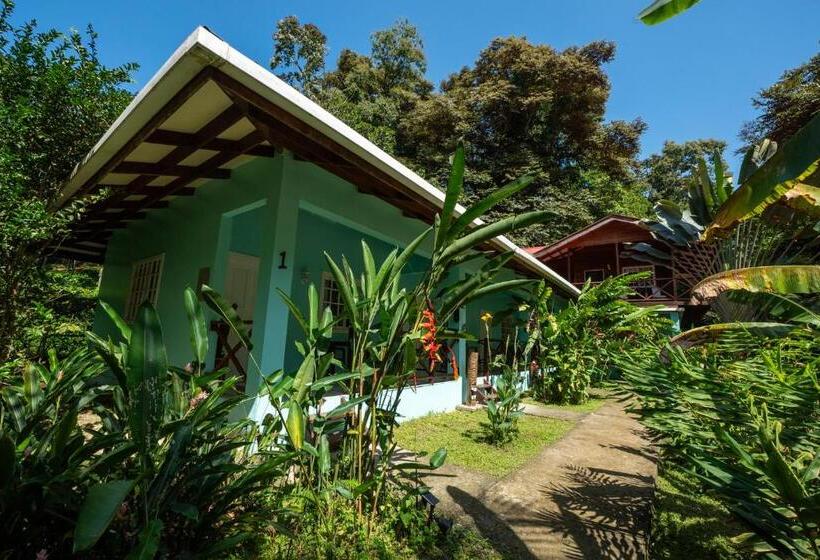 غرفة قياسية سرير كينج, The Monkey Bowl Boutique Skate