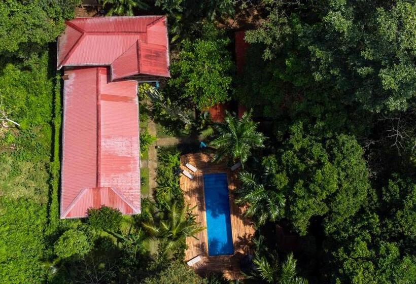 غرفة قياسية مطلّة علي حمام السباحة, The Monkey Bowl Boutique Skate