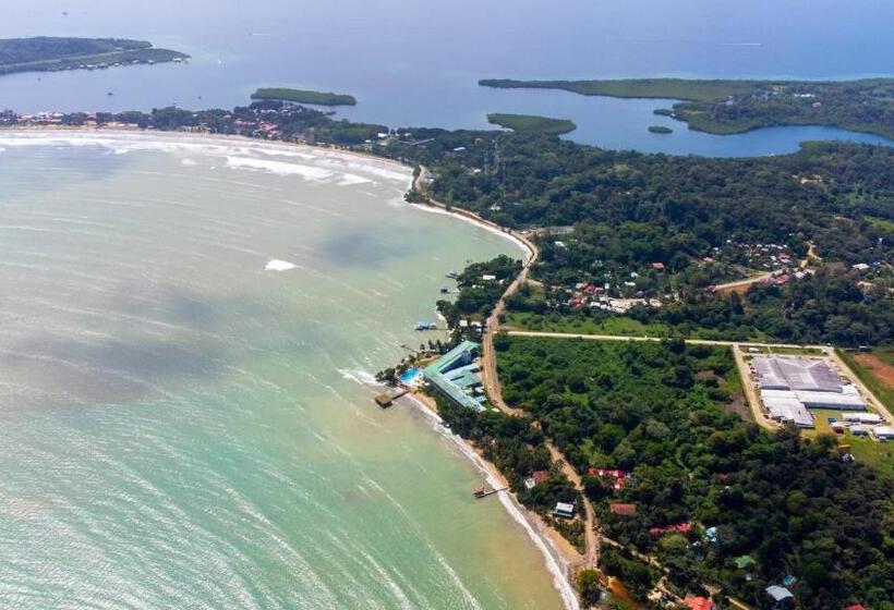 غرفة قياسية مطلّة علي حمام السباحة, The Monkey Bowl Boutique Skate