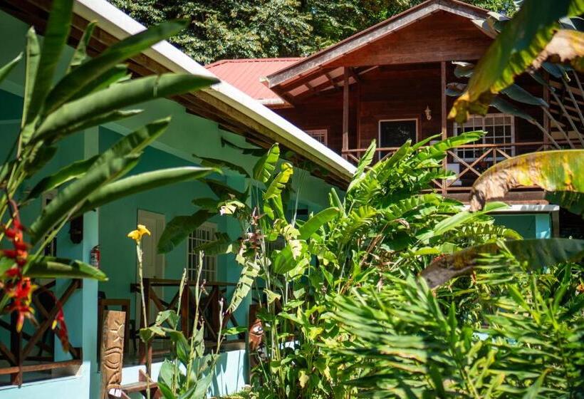 شقة سوبريور غرفة واحدة, The Monkey Bowl Boutique Skate