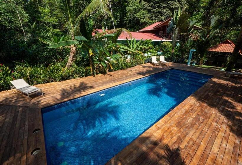 شقة سوبريور غرفة واحدة, The Monkey Bowl Boutique Skate