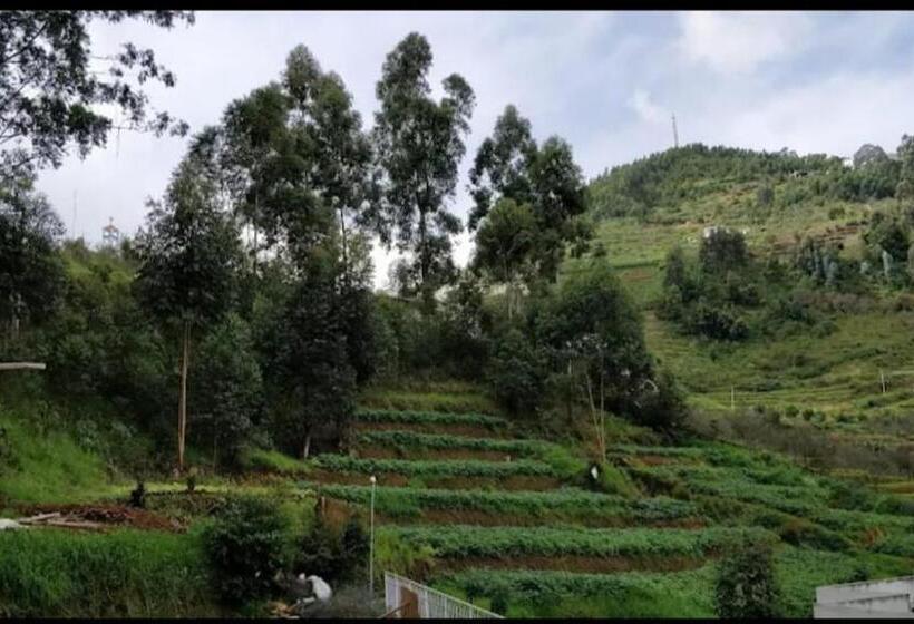 غرفة قياسية ثلاثية مزودة بشرفة, Tree Elanza