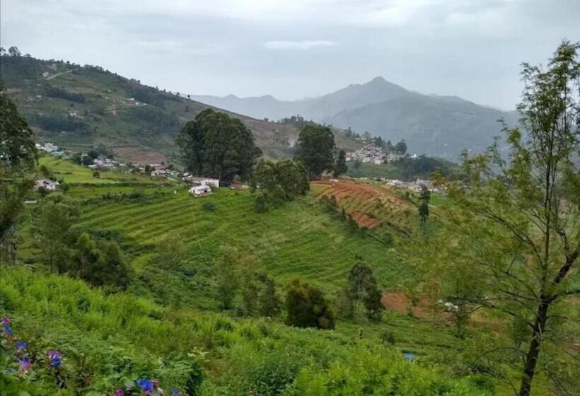 غرفة ديلوكس مزودة بشرفة, Tree Elanza