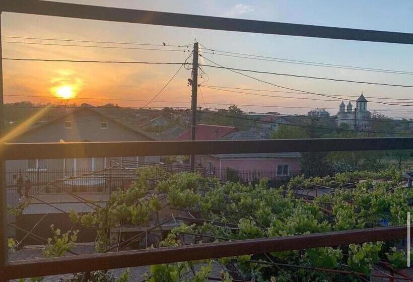 شقة غرفة واحدة, Vila Aron