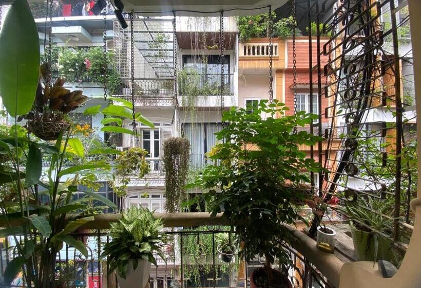 استودیو استاندارد با بالکن, An Thường House