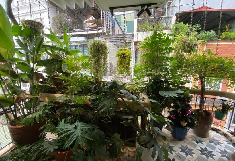 استودیو استاندارد با بالکن, An Thường House