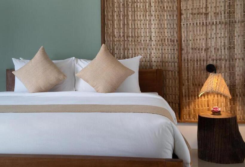 سوییت با چشمانداز استخر, The Jungle