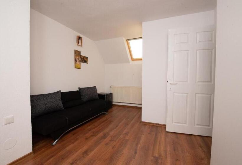 ファミリールーム, Csango Wellness