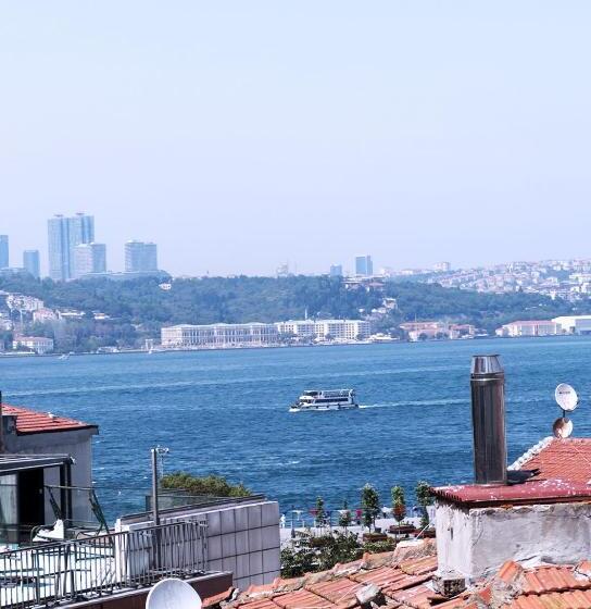 اتاق لوکس یک تخته, Frezya Exclusively Women