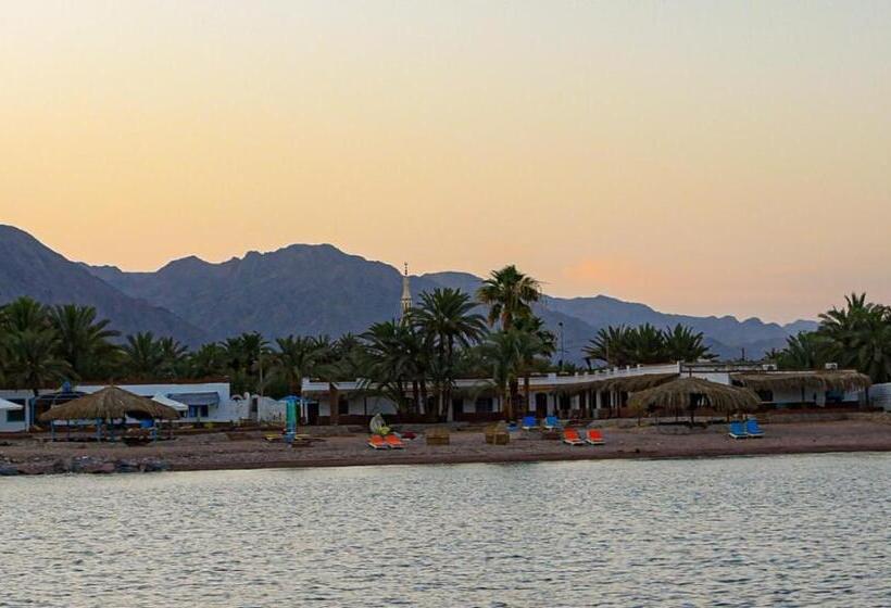 اتاق استاندارد با تراس, Rayan S Beach Camp