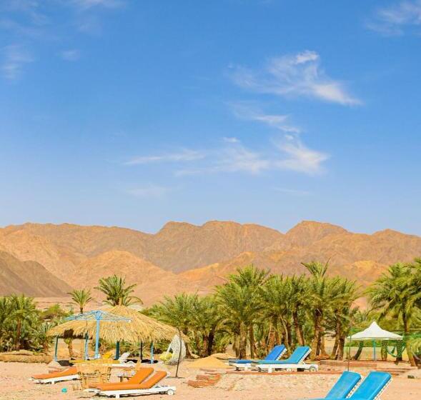 اتاق استاندارد با تراس, Rayan S Beach Camp