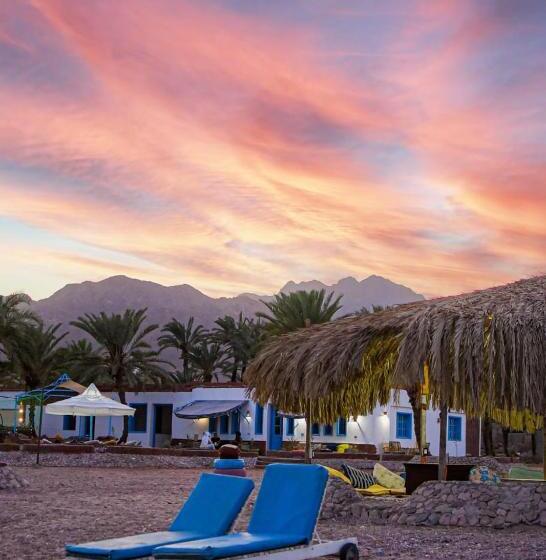 اتاق استاندارد با تراس, Rayan S Beach Camp