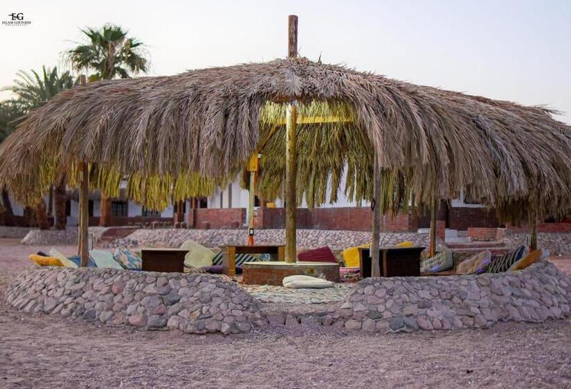 Standard Triple Room with Terrace, Rayan S Beach Camp