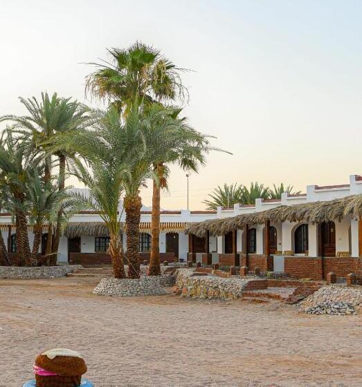 Standard Triple Room with Terrace, Rayan S Beach Camp