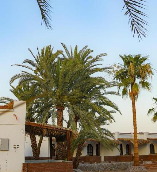 Standard Triple Room with Terrace, Rayan S Beach Camp