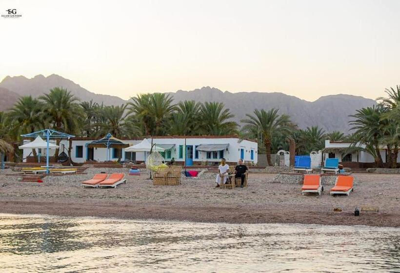 Standard Triple Room with Terrace, Rayan S Beach Camp