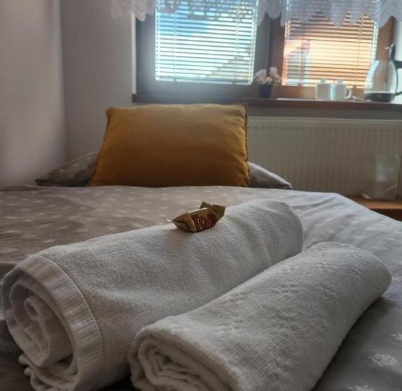 اتاق لوکس با بالکن, Radio Hotel Bratislava