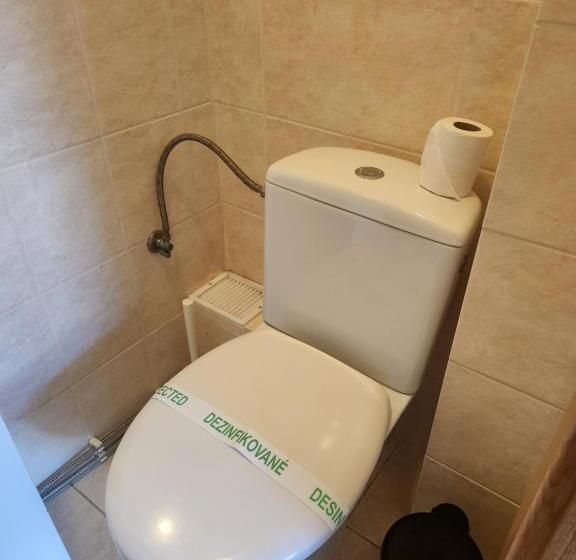 اتاق لوکس با بالکن, Radio Hotel Bratislava