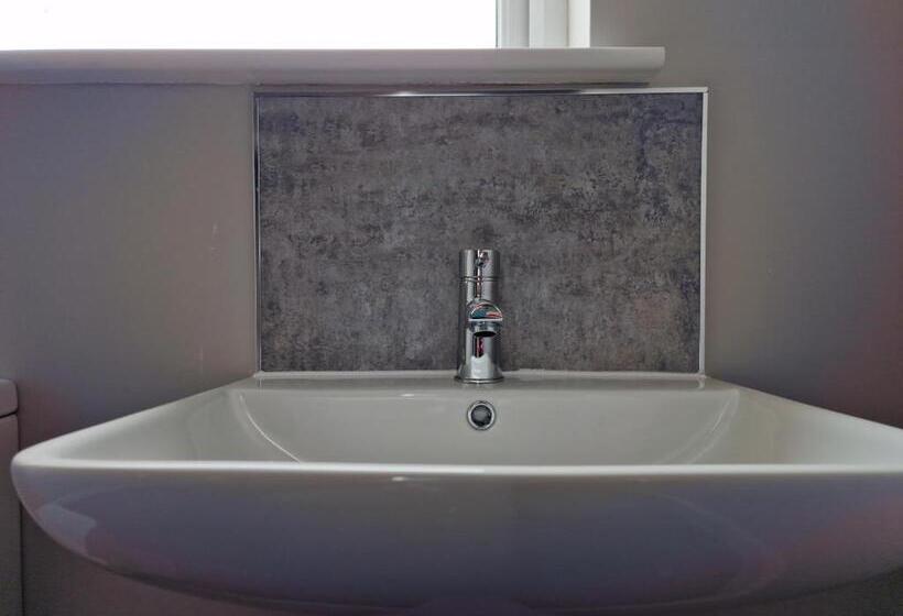 דירת שני חדרים, The Olive Tree Apart