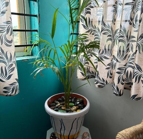 带阳台的豪华间, Cocogreen Hampi