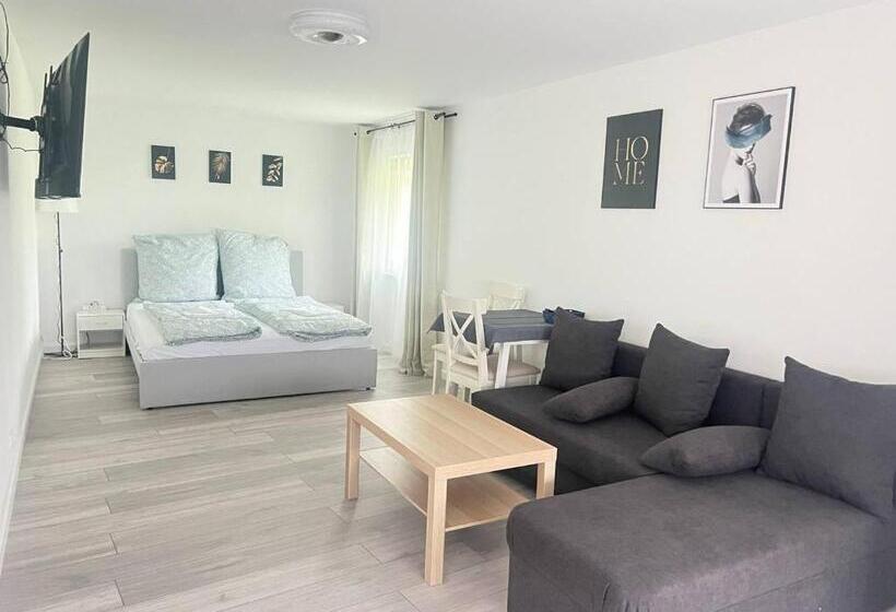 스탠다드 룸 공동 욕실, Koblenz Corner Rooms