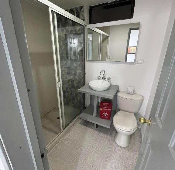 スタンダードルーム, Armenia Lions