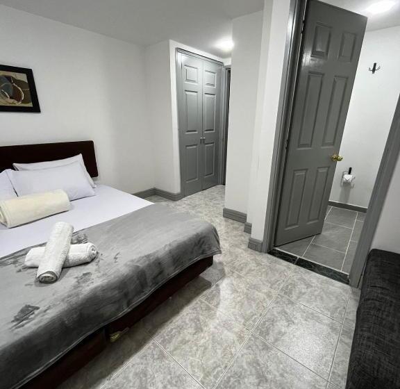 غرفة قياسية, Armenia Lions