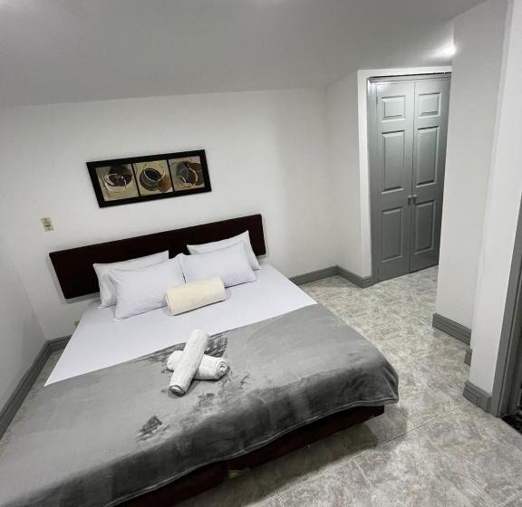 スタンダードルーム, Armenia Lions