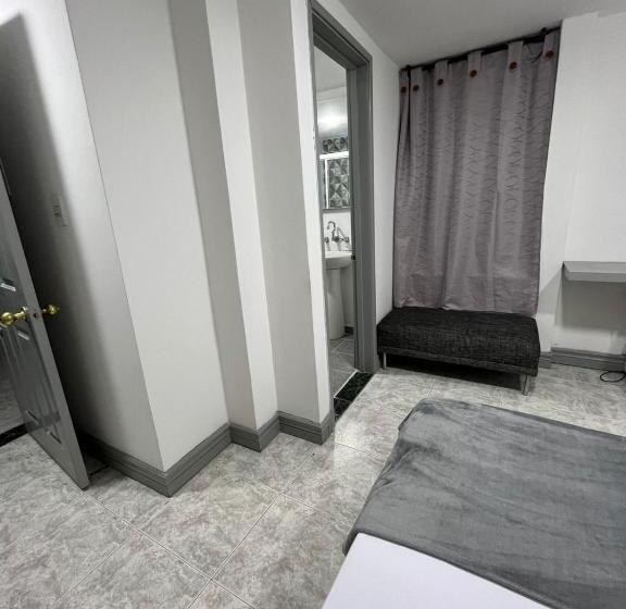 スタンダードルーム, Armenia Lions