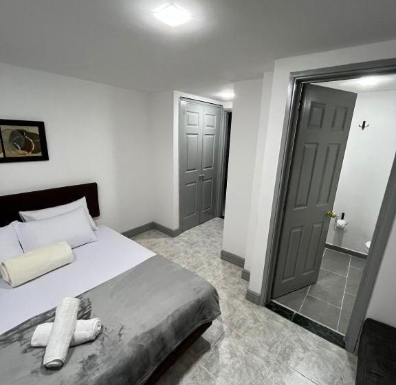 غرفة قياسية, Armenia Lions