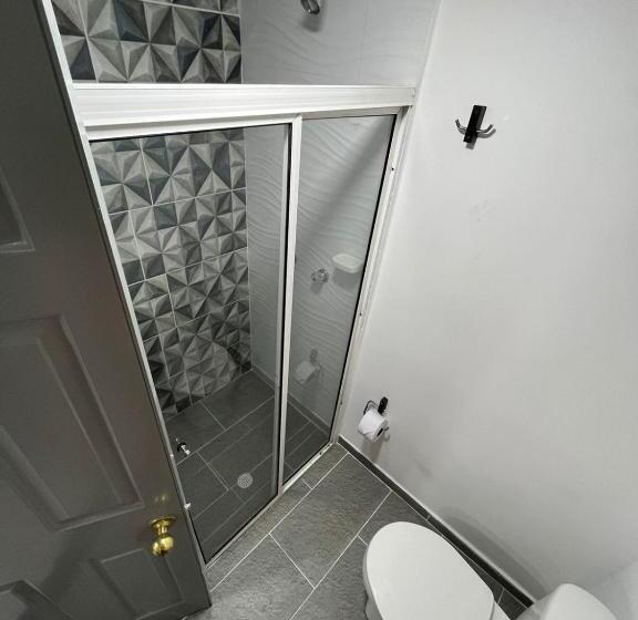 غرفة ديلوكس عائلية, Armenia Lions