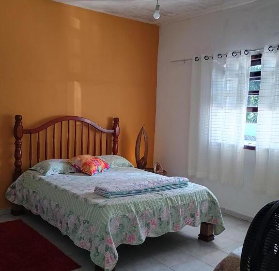 豪华三人间, Espaço Terapêutico Reconectar