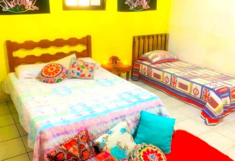 舒适三人间, Espaço Terapêutico Reconectar