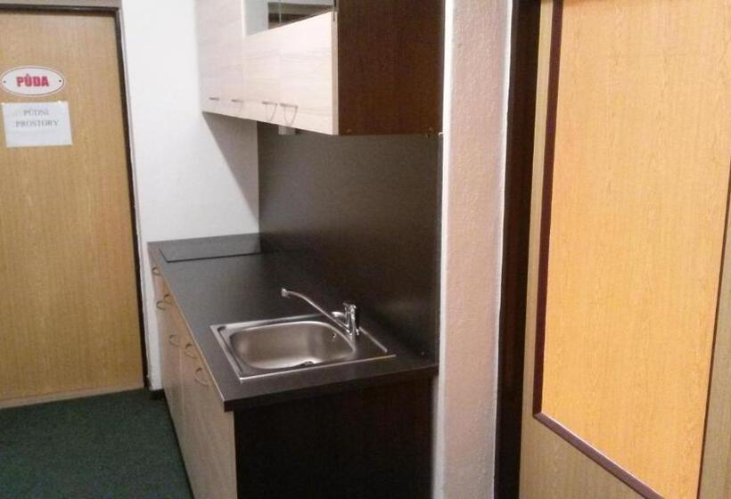 اتاق استاندارد با سرویس بهداشتی مشترک, Hostel Karin