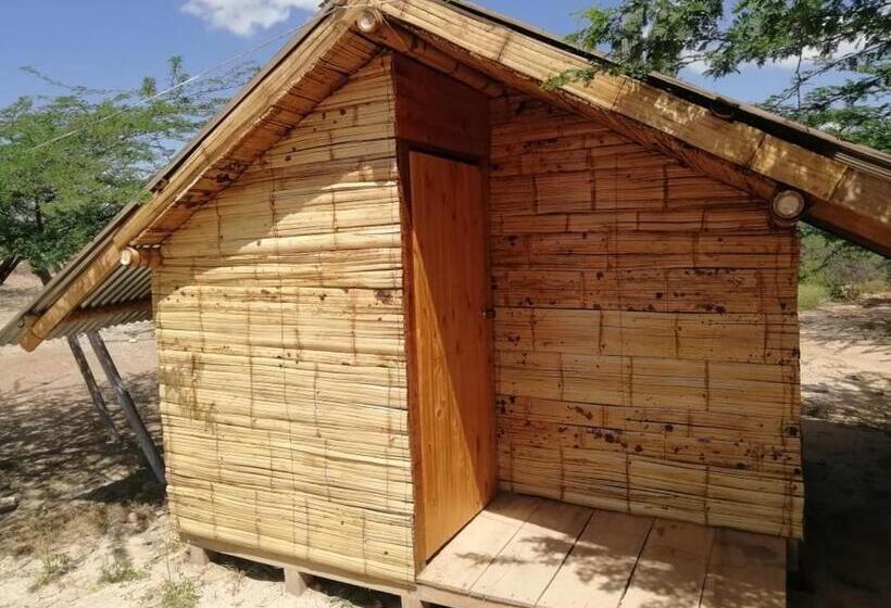 اتاق اکونومی, La Guaca