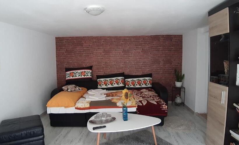 Семейный Номер, Pensiunea Casa Godja
