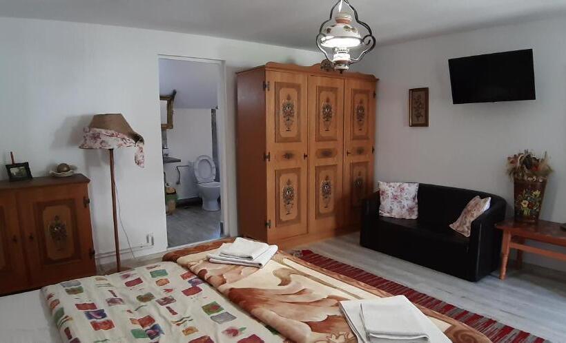 スタンダードルーム, Pensiunea Casa Godja