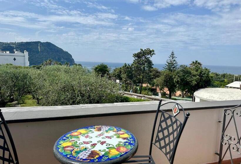 Номер Стандарт Вид на Море с Балконом, Boutique Ischia