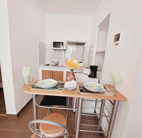 إستوديو قياسى, Pensiunea Rock And Red