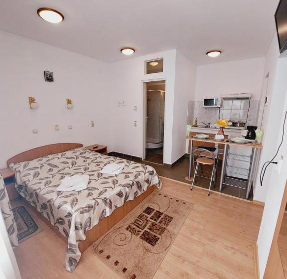 إستوديو قياسى, Pensiunea Rock And Red