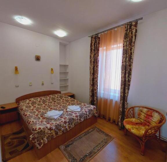 Apartamento Superior 1 Dormitório, Pensiunea Rock And Red