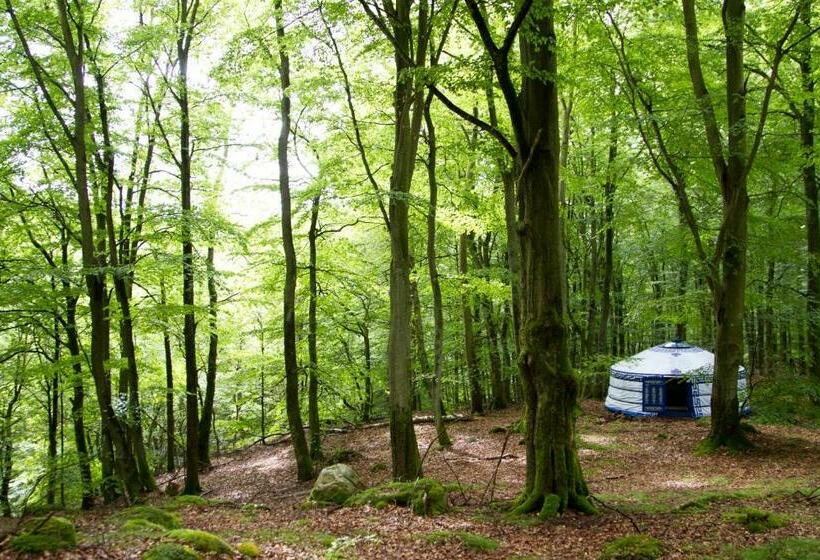اتاق استاندارد, Stf Nyrups Naturhotell