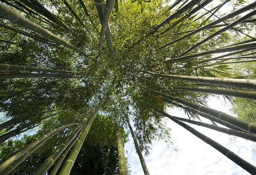 Бунгало Стандарт Вид на Сад, Naturalmente Boutique Bungalows Y Cocina Mediterránea