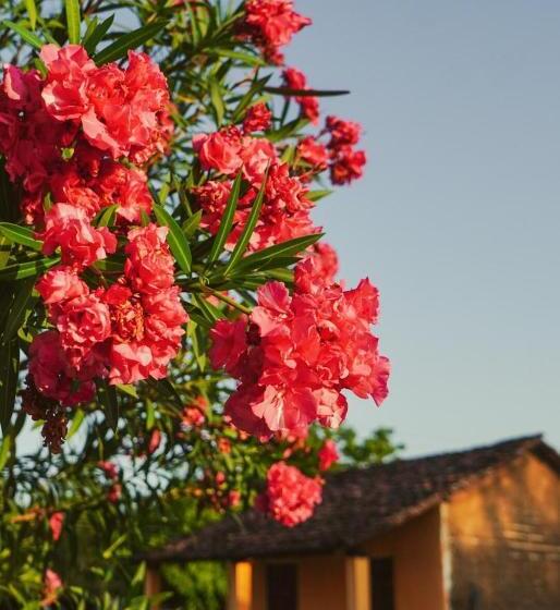 Номер Стандарт, Hostel Kimmell / Hostal Familiar La Casita De Los Kimmell