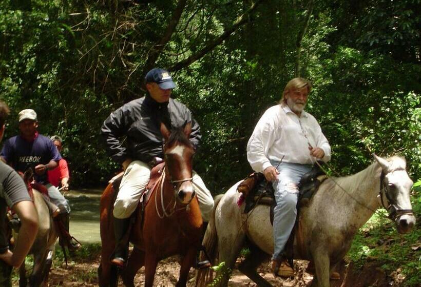 Четырехместный Номер Стандарт, Pedasi Sports Club