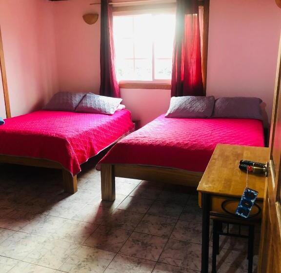 4인용 스탠다드 룸, Posada Los Delfines