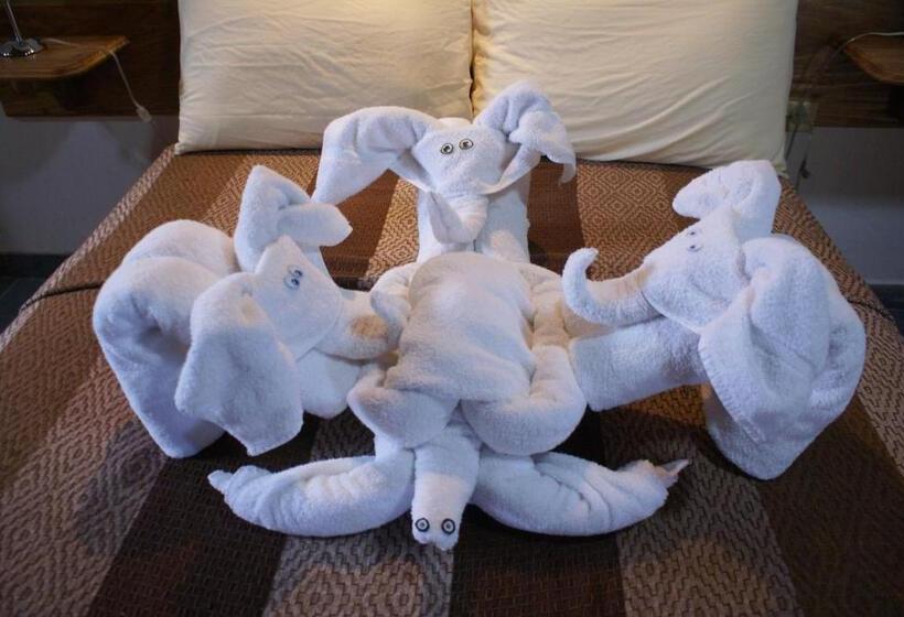 스탠다드 싱글 룸, Posada Los Delfines